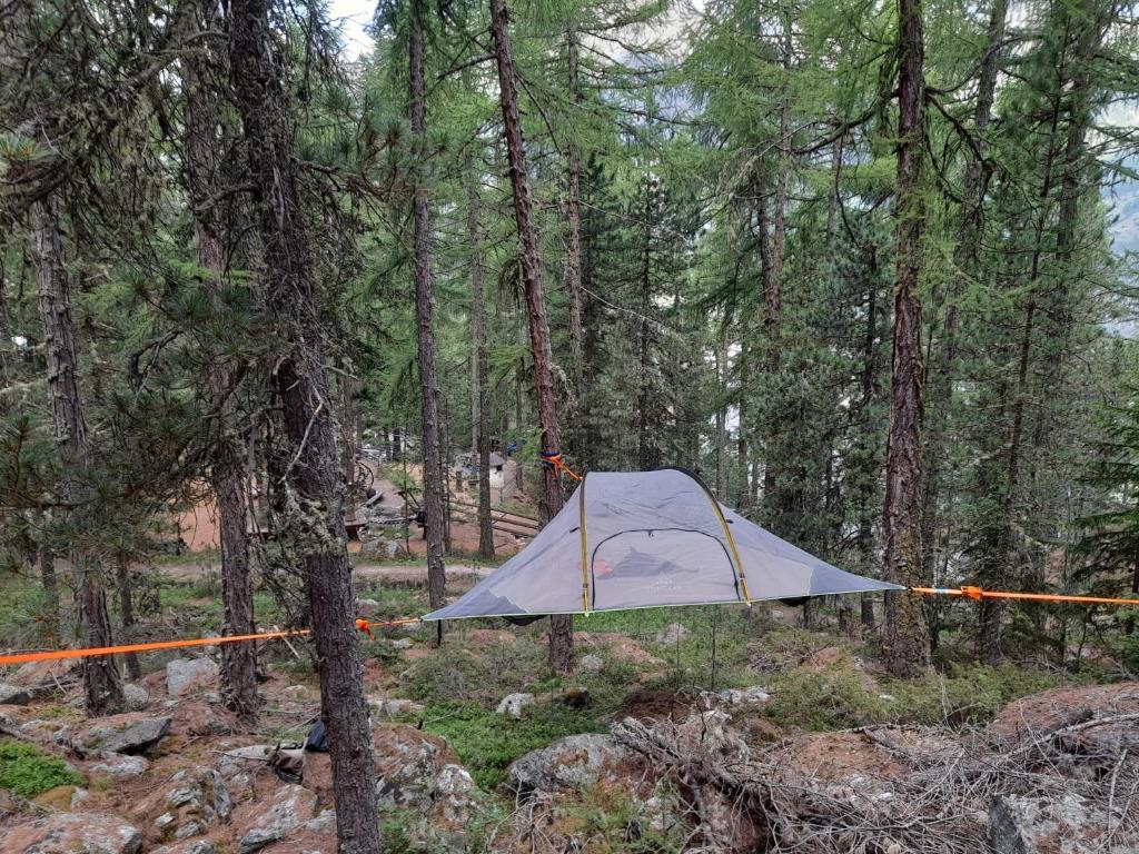 格雷兴Baumzelte Robis Waldspielpark的森林中间的帐篷