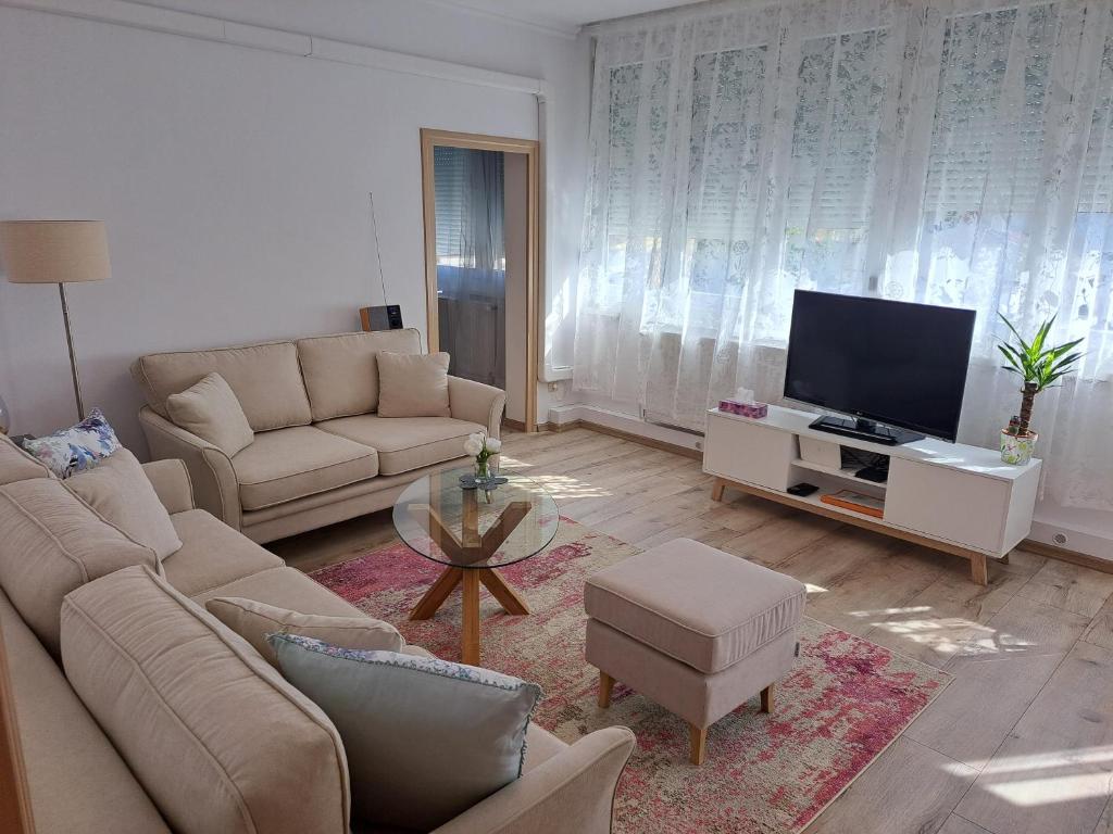 希欧福克Lily Apartman Siófok的带沙发和平面电视的客厅