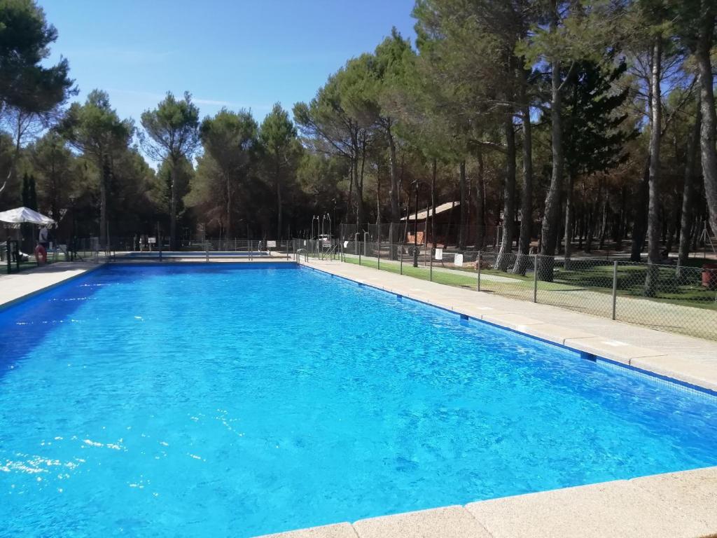 El Bonillocasas rurales la lagunilla的一个种有树木的大型蓝色游泳池