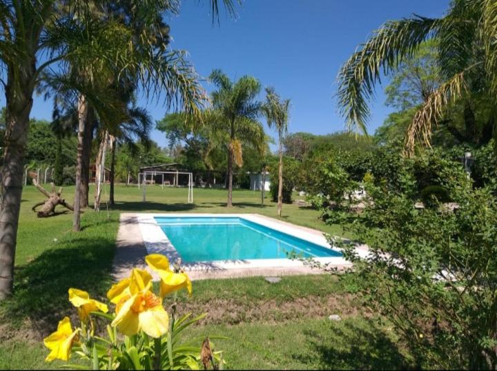 特尔马斯德里奥翁多Cabañas TERMALES的一座种有树木和鲜花的庭院内的游泳池