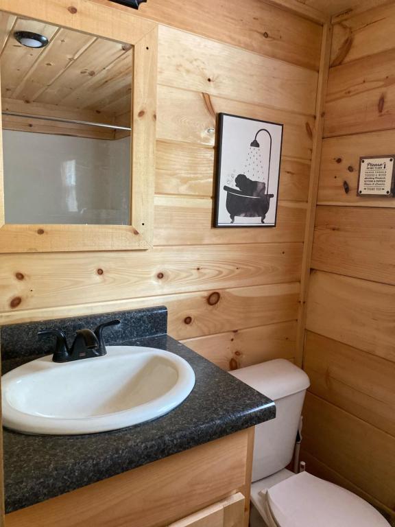 Boiling SpringsBroad River Campground Cabins & Domes的小木屋内的浴室设有水槽和卫生间