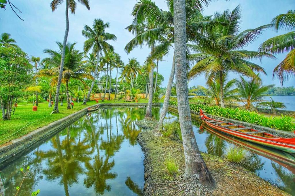 阿勒皮Ameya Kerala的棕榈树和船只的水池