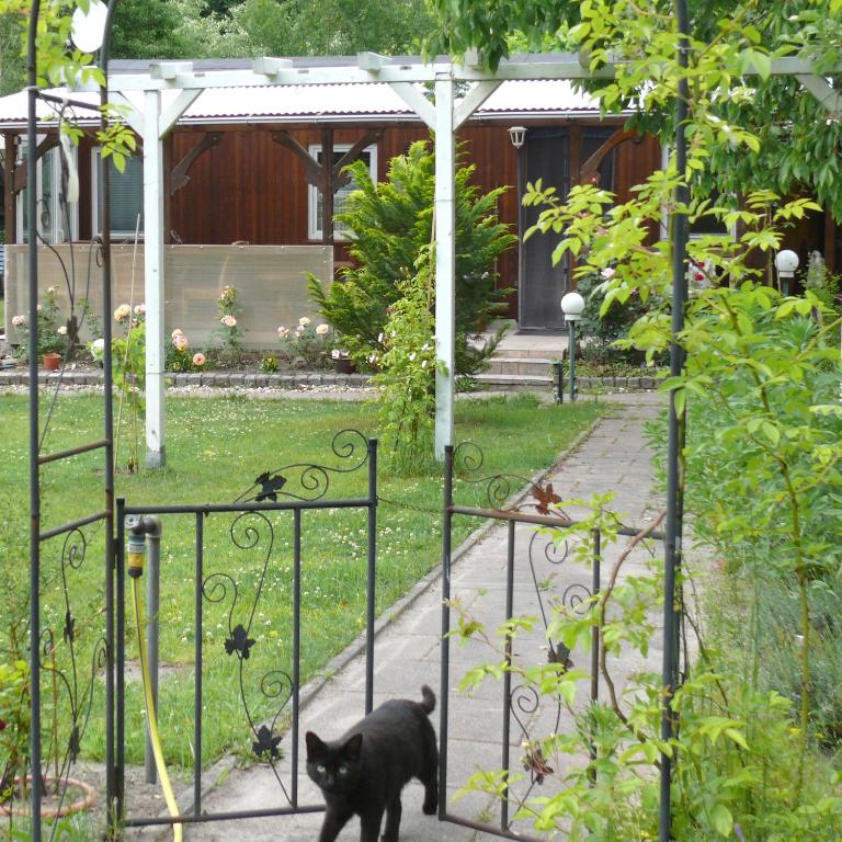 KrauschwitzBungalow im Märchengarten的一只黑猫穿过花园的大门