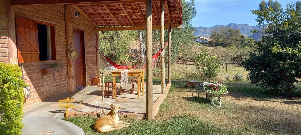 贡萨尔维斯Chácara das flores的坐在房子外的草上的小狗