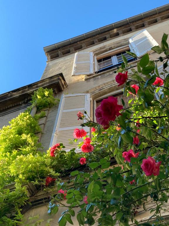 阿维尼翁Cocooning Avignon的建筑物一侧的窗户,有鲜花