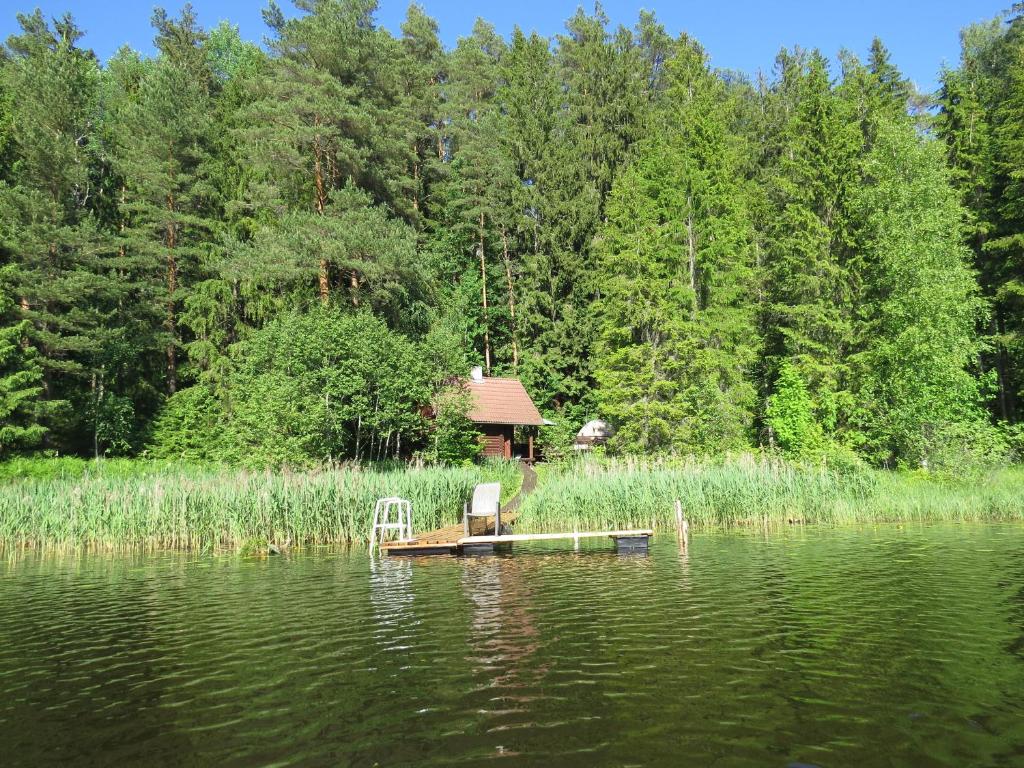 AinjaKäbi Holiday Homes的坐在湖中码头上的椅子