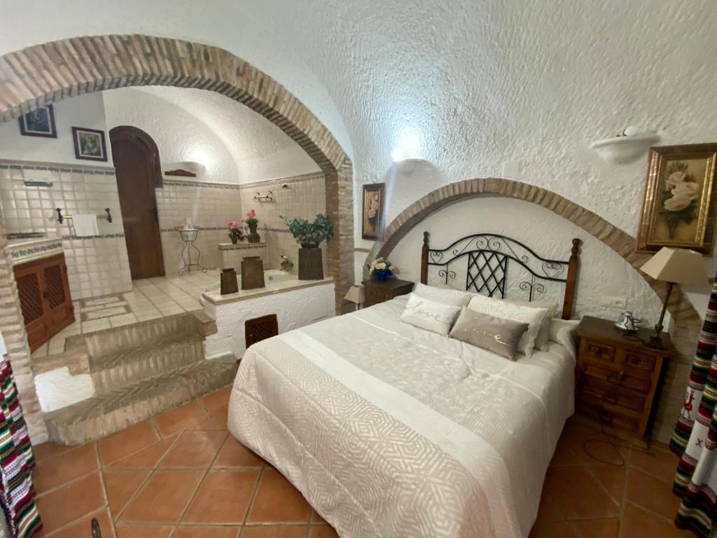 瓜迪克斯阿拉尔孔佩德罗安东尼奥岩洞酒店的一间卧室配有一张床,浴室设有壁炉