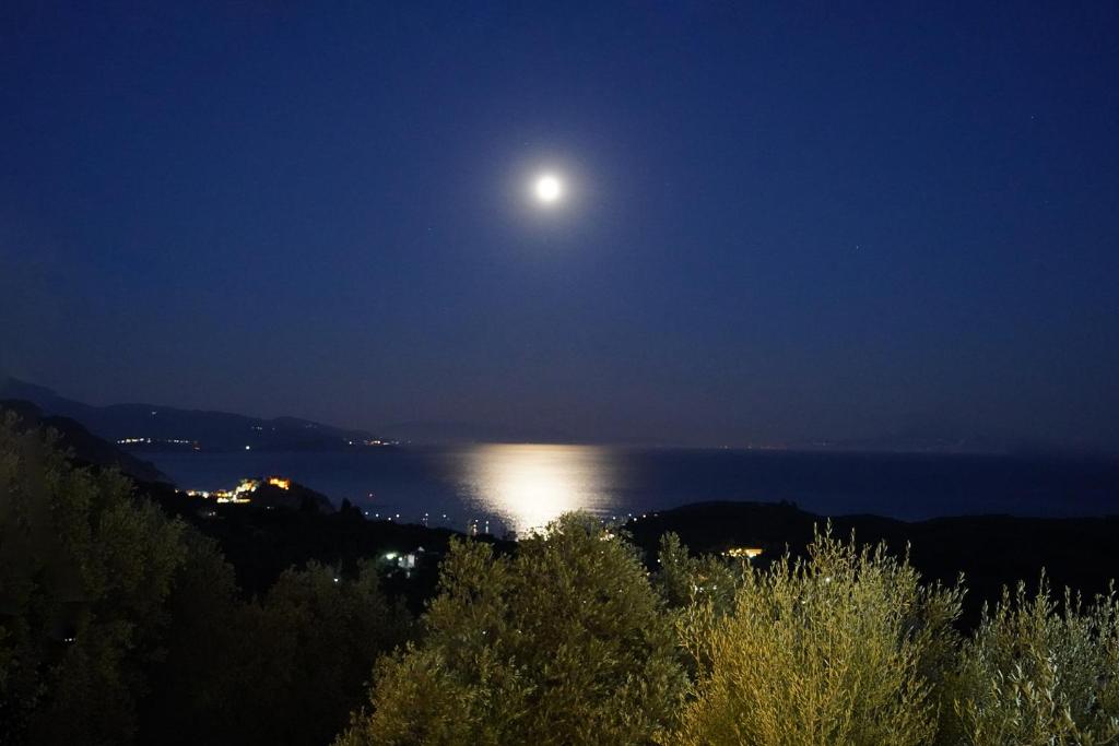 帕尔加Moonlight Suites的满月夜从水面上升起