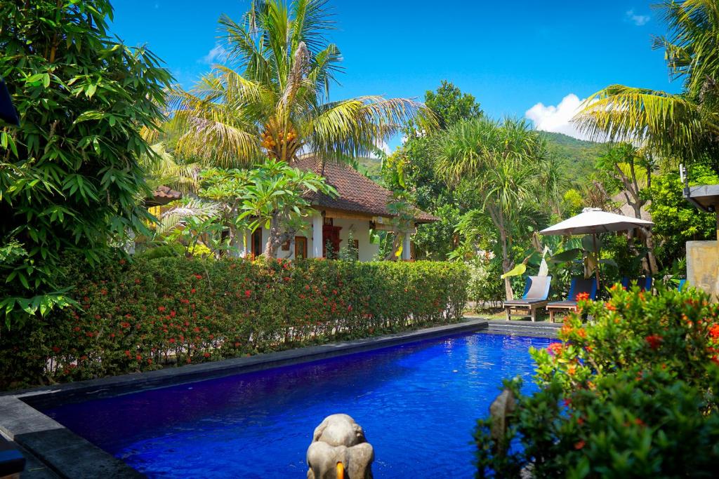 艾湄湾Amed Harmony Bungalows And Villas的一座房子中间的带大象的游泳池