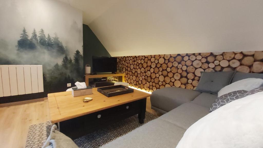 贝斯和圣阿纳斯泰斯La forêt des Marmottes的客厅配有沙发和带电视的桌子