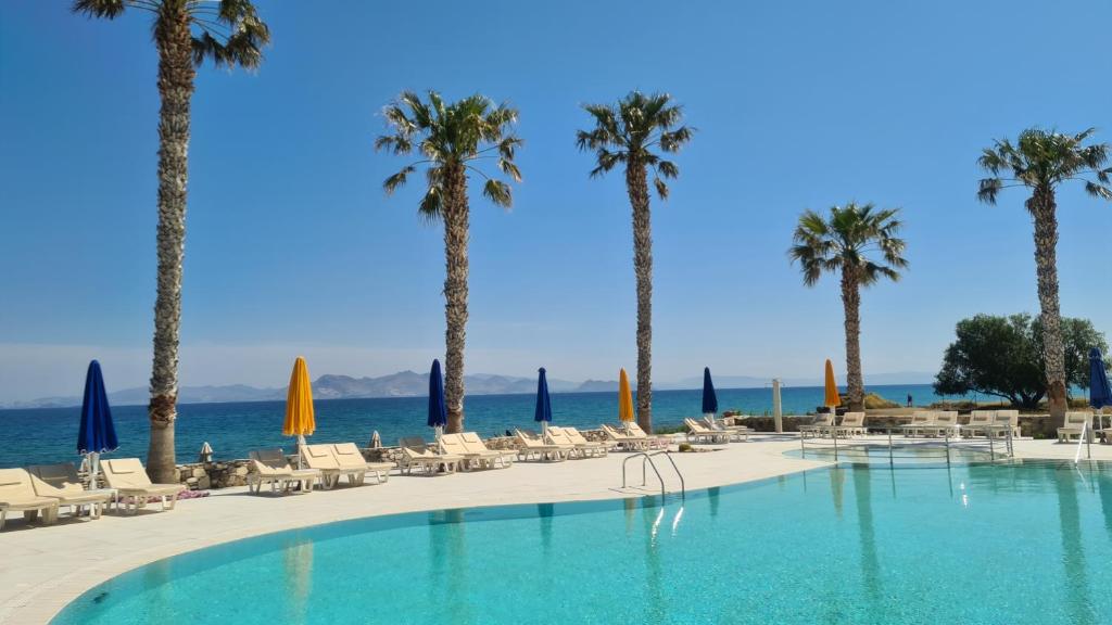 蒂加基伊琳娜海滩公寓式酒店的一座棕榈树和椅子的游泳池以及大海