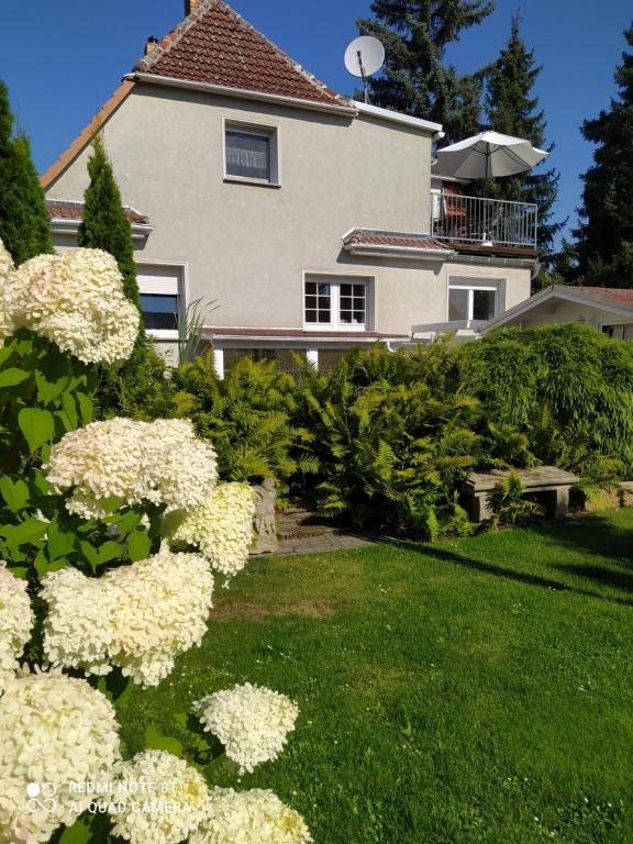 巴特利本韦达Domizil der Sinne的院子前有白色花房