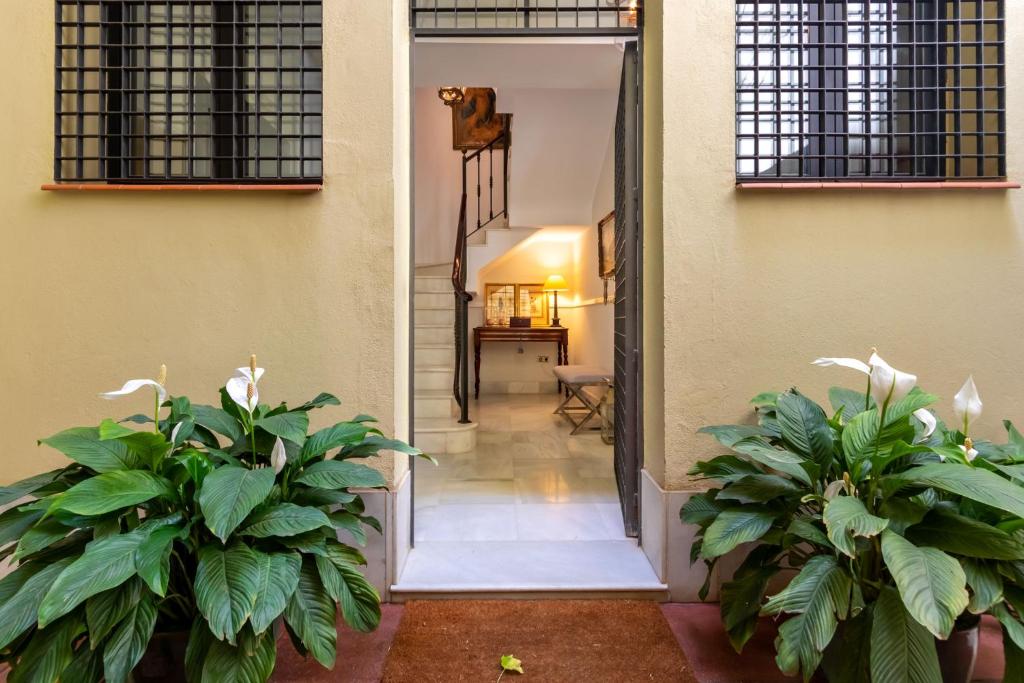 Museum Duplex and Patios, Historical Center, 8 pax平面图