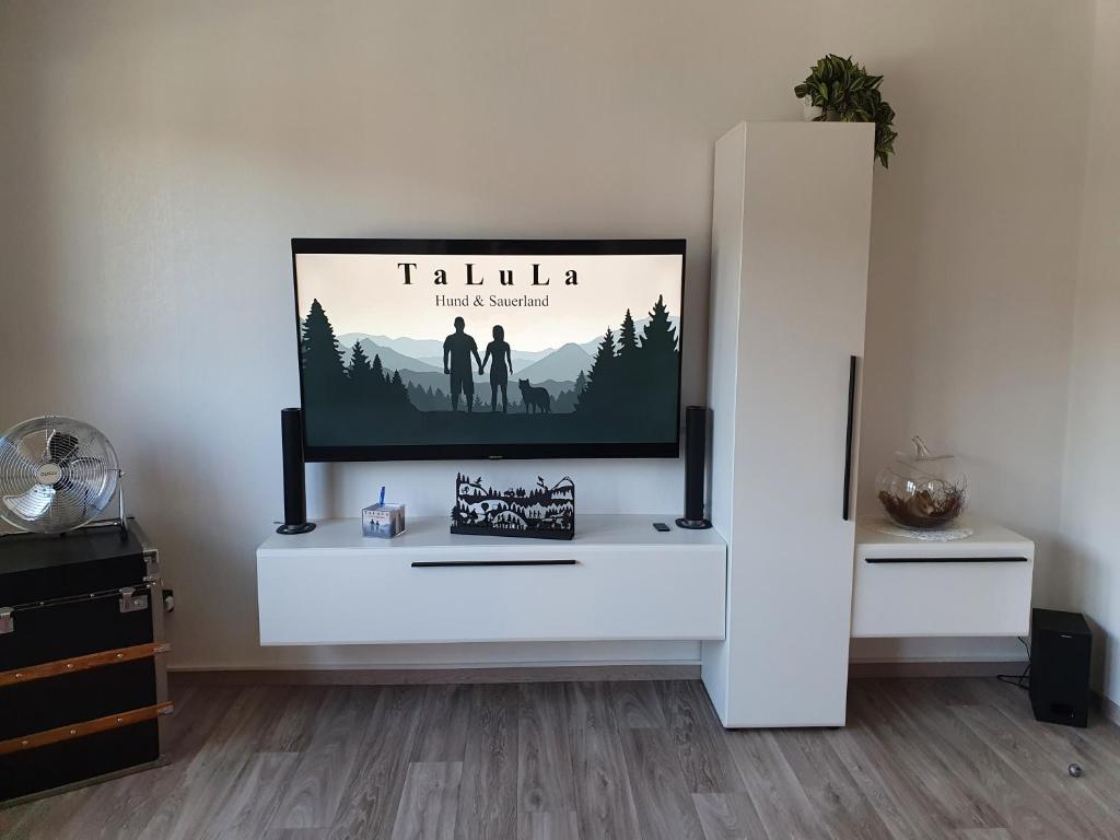 梅德巴赫Fewo TaLuLa - Sauerland mit Hund的白色橱柜顶部的平面电视