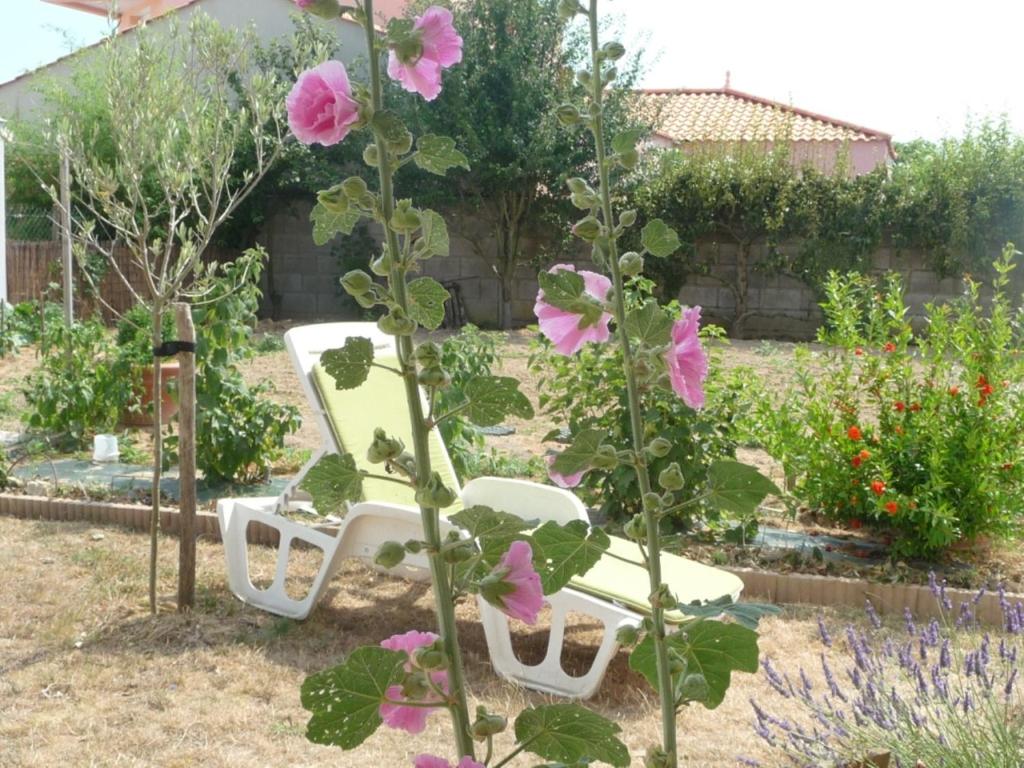 莱萨布勒-多洛讷波塔泽住宿加早餐酒店的一个带长凳和粉红色花卉的花园