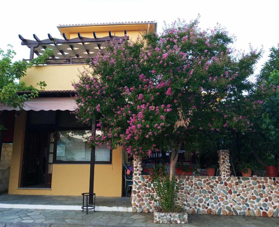 卡拉内拉Vasileiou的一座建筑物前有粉红色花的树