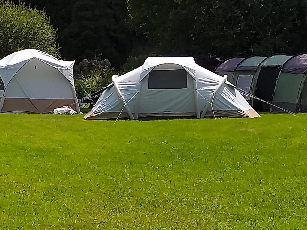 Saint MullinsSt Mullins Camping的草场上的一组帐篷