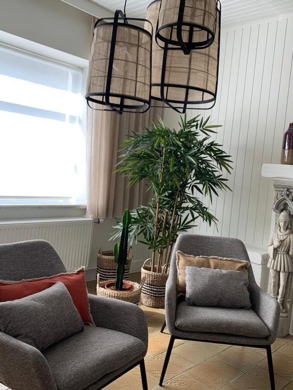 兹瓦尔姆Boekelbaan 161的客厅配有两把椅子和盆栽植物