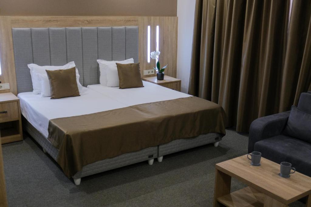 普罗夫迪夫SPS酒店的配有一张床和一把椅子的酒店客房