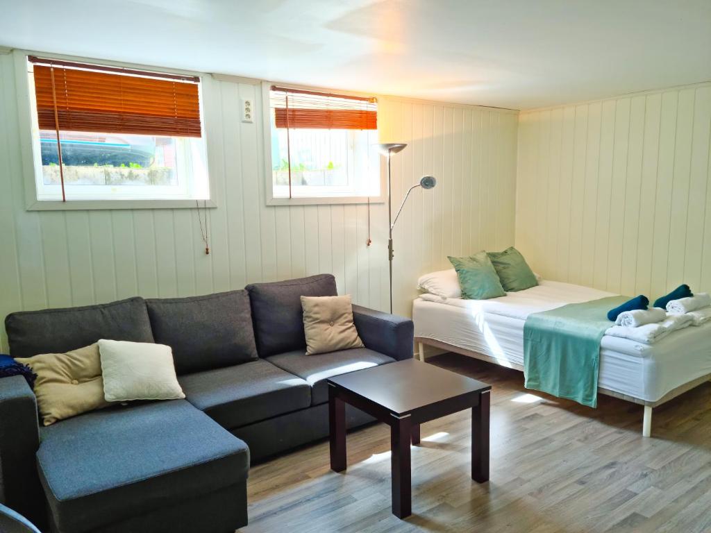 欧坎哥Bårdshaug studio apartment的客厅配有沙发和1张床