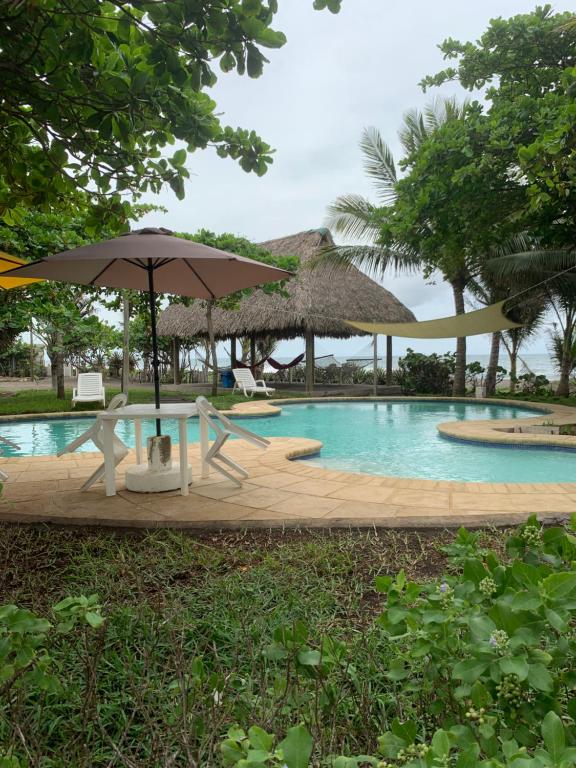 蒙特里科Cabo tortuga bungalows的一个带桌子、遮阳伞和椅子的游泳池