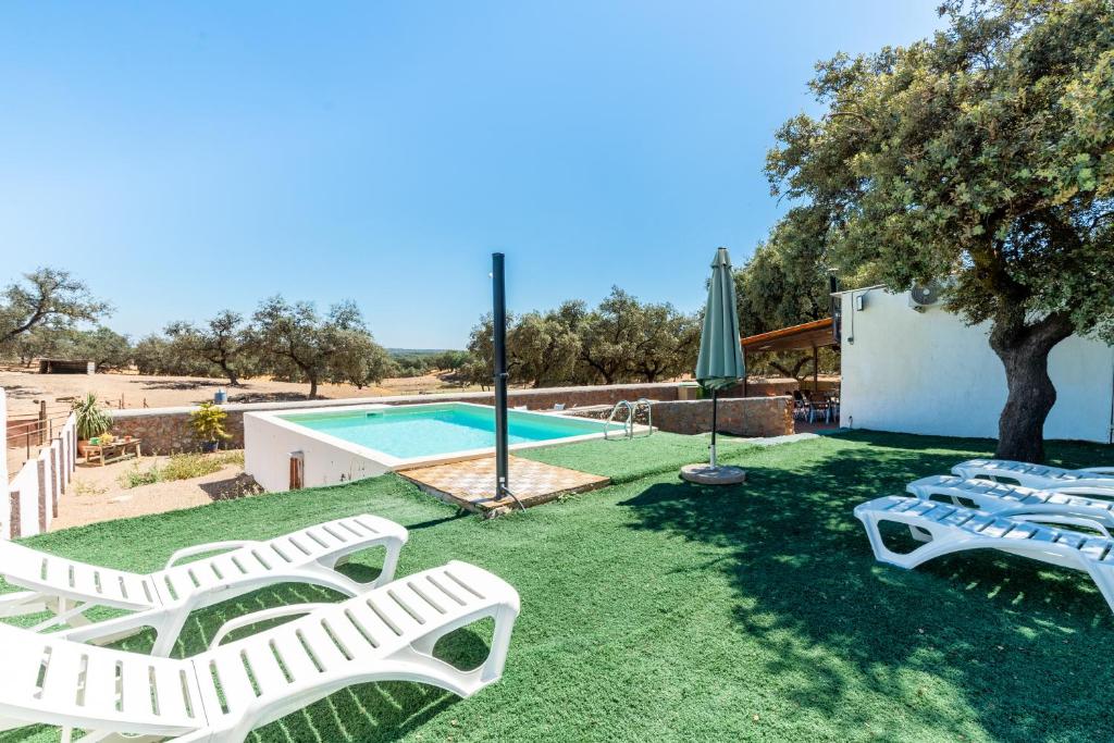 圣奥拉利亚德尔卡拉Casa Rural Quejigo con piscina的一个带躺椅的庭院和一个游泳池