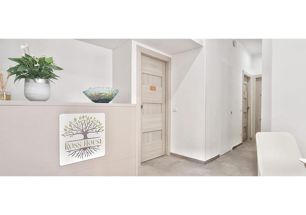 索伦托RossHouse的白色的客厅,里面摆放着植物和画