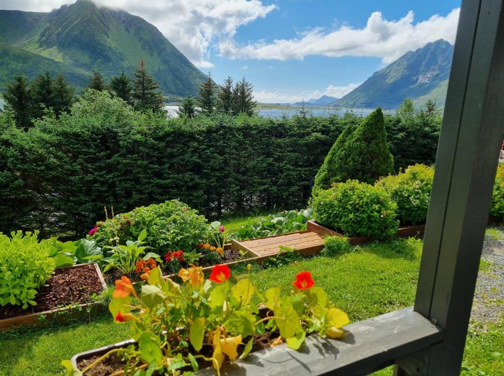 山景或在公寓看到的山景