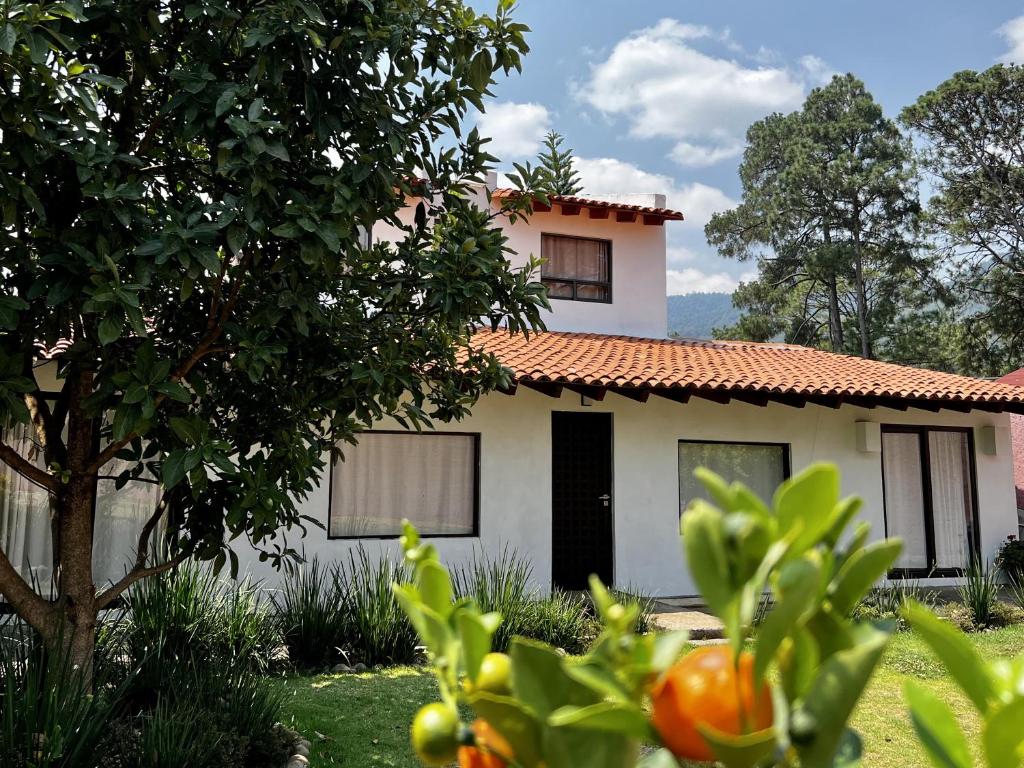 巴耶德布拉沃Casa Lunah Avandaro的前面有一棵树的白色房子