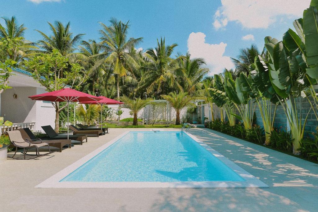 槟知La villa de CoCo Bến Tre的一个带椅子和遮阳伞的游泳池以及棕榈树