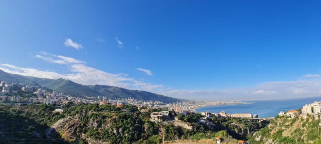 朱尼耶Adma Blue Screen的从一座小山欣赏到城市和大海的景色
