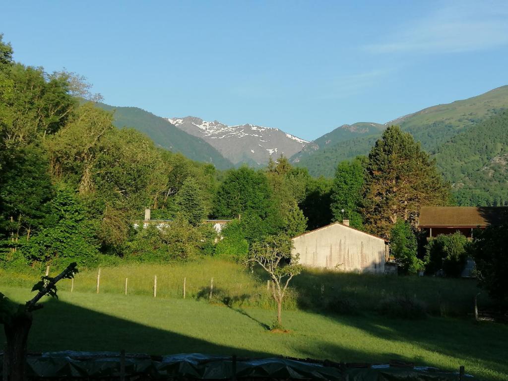 BanatA LA JOIE DE VIVRE Chez l'habitant的享有山脉背景的田野景色