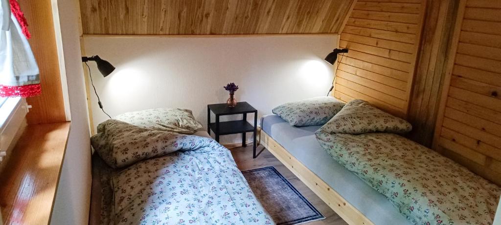 伊利尔斯卡比斯特里察Koča Kresnica的带2张单人床的带边桌的客房