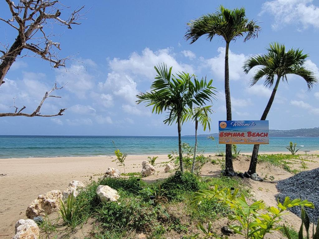 阿瓜达Aguada of the Seas的棕榈树和海洋海滩上的标志