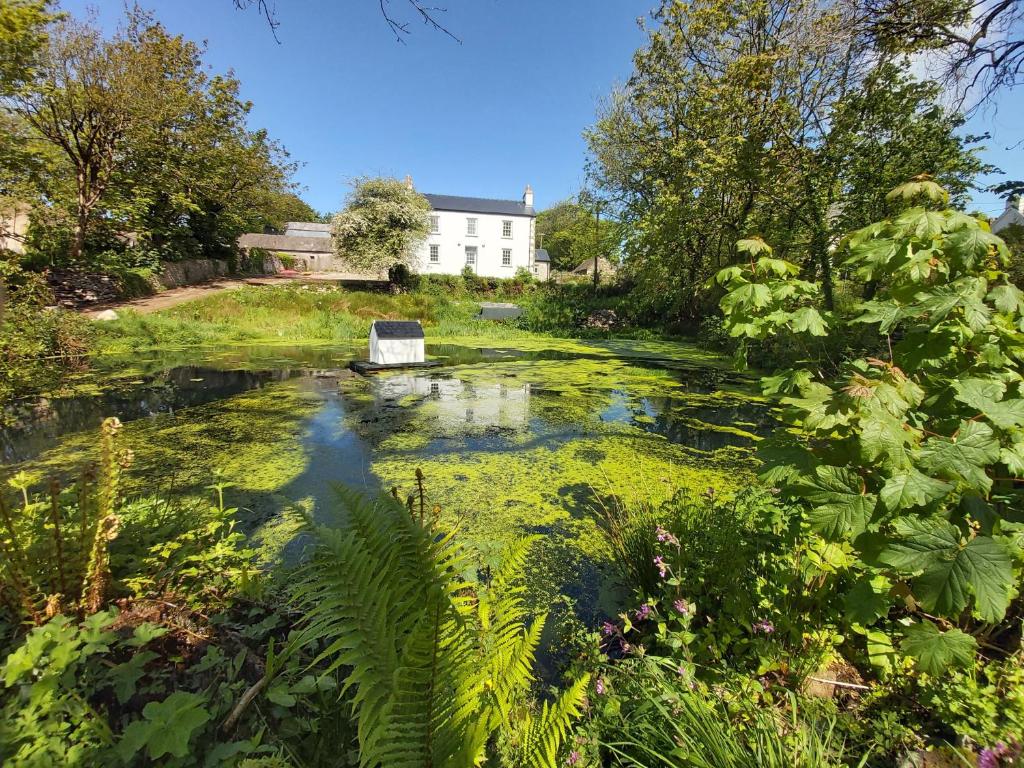 JordanstonHen Ffermdy的花园中间带长凳的池塘