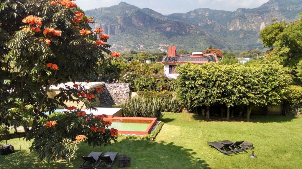 迪坡斯特兰奇迹精品酒店的享有房屋和山脉景致的花园