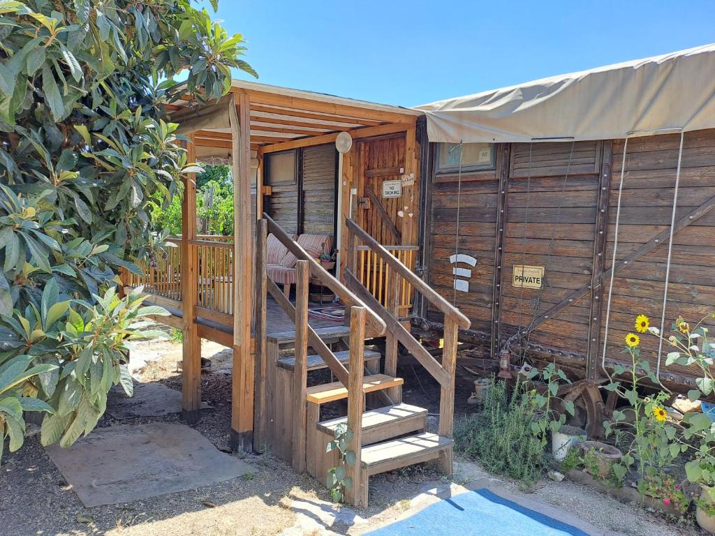 Tabash加利利贝都因营地山林小屋的小木屋设有通往小屋的楼梯