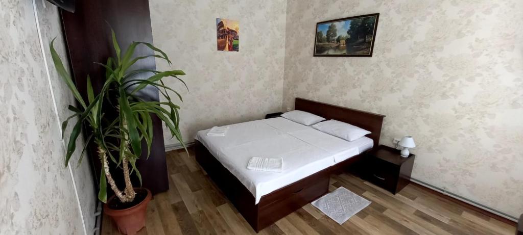 敖德萨Apartments Ilona的一间小卧室,配有床和植物
