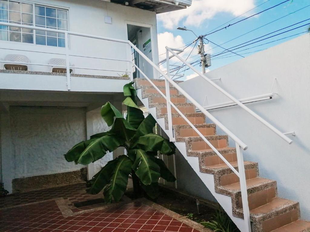 El CoveApartamento New Experience的建筑物旁的木楼梯