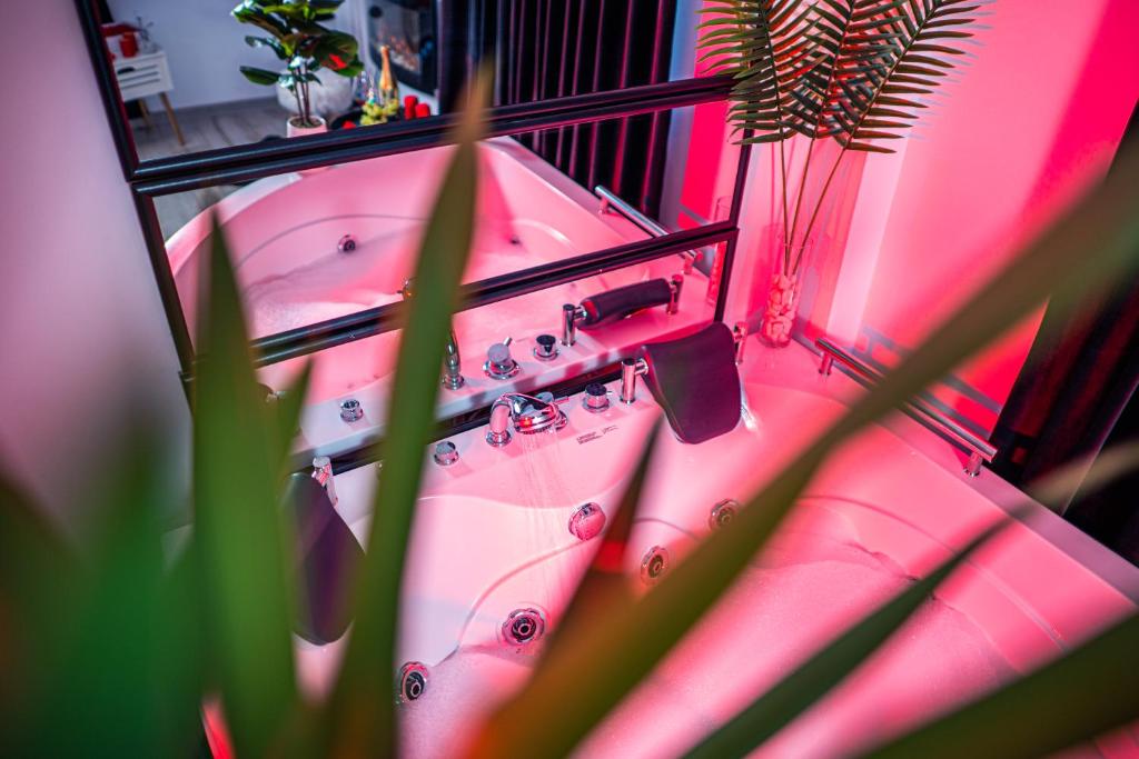 克拉约瓦Apartment de Lux Craiova Jacuzzi Pat Rotund Semineu Zona Ford的粉红色的房间,设有水槽和一些植物
