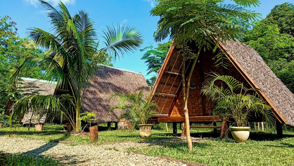 莫阿尔博阿Archery-Asia Nipa Huts Moalboal的茅草屋顶和两棵棕榈树的房子