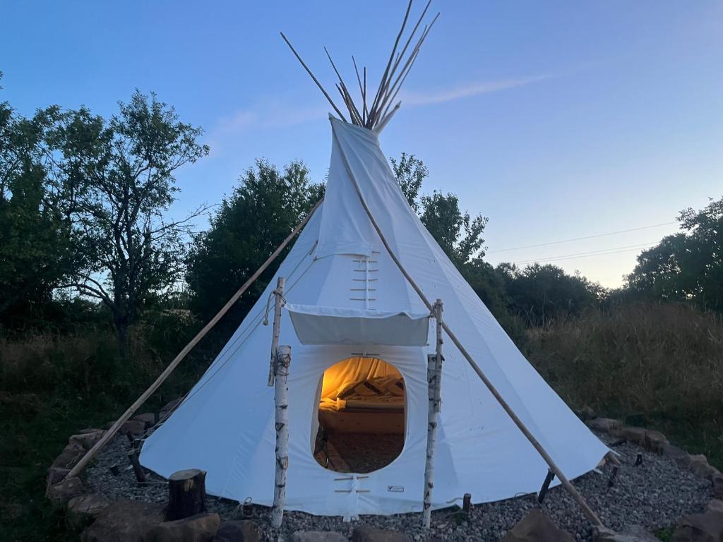 TomnaticRomantic Wildlife Tipi Teepee Tomnatic Bihor Romania Apuseni的帐篷内提供一张床