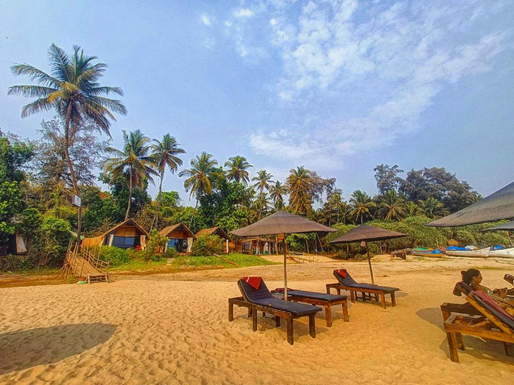帕特南Nada Brahma Patnem Beach的海滩上设有椅子和遮阳伞,棕榈树