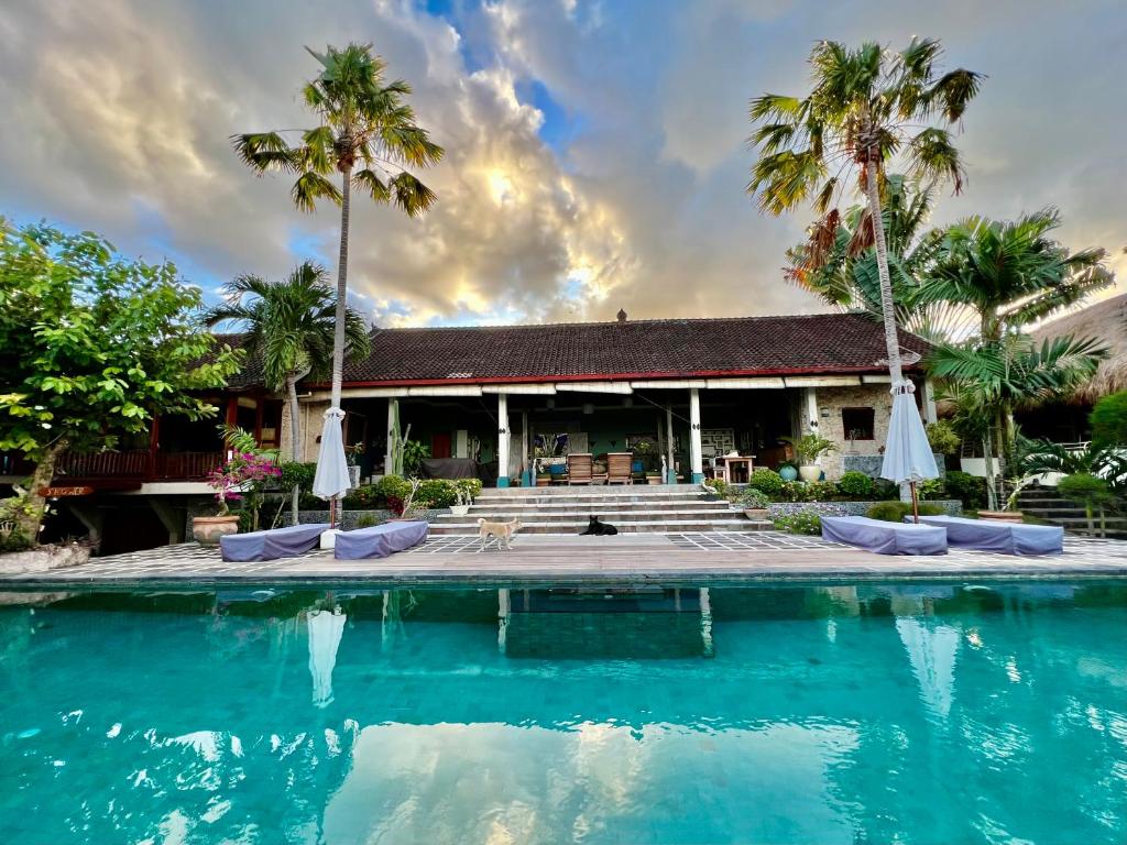 努沙杜瓦安靖别墅酒店的一个带游泳池和棕榈树的度假村