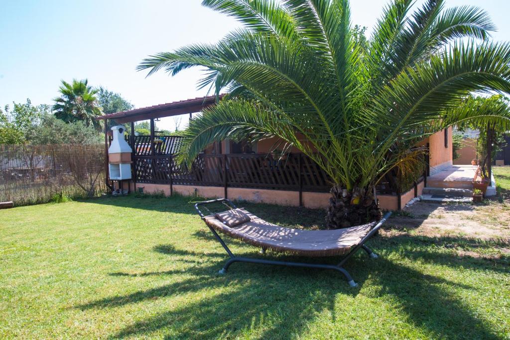 菲乌米奇诺Villetta indipendente vicino aeroporto的棕榈树旁的院子内的吊床