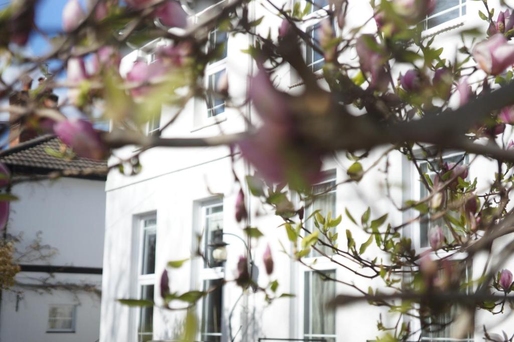 NetleyStunning pied-a-terre moments from the water.的树后白色的建筑,花粉色