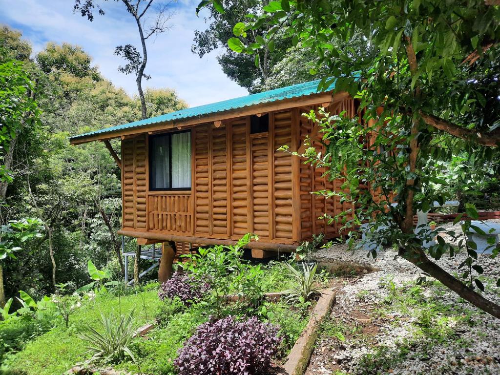 萨玛拉Eco-Turismo Guayacanes的花园中间的小木屋