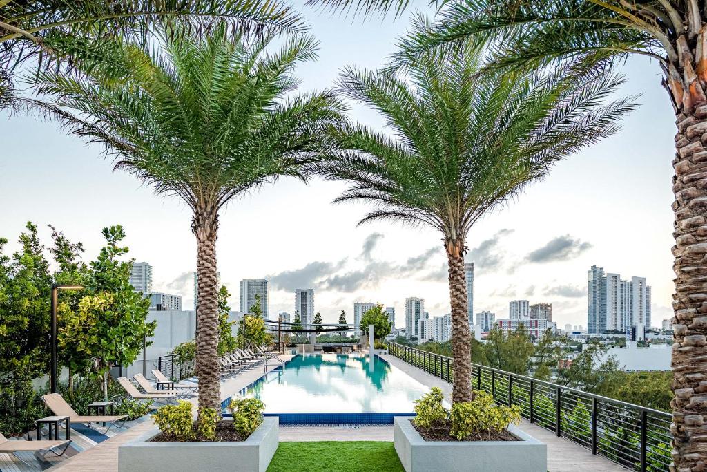 迈阿密Sentral Wynwood的一座建筑屋顶上棕榈树环绕的游泳池