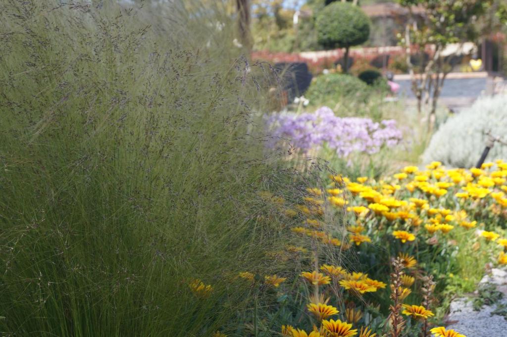 维琪奥港Les Jardins De Santa Giulia - Charmante chambre d'hôte的种着黄色和紫色花草的花园
