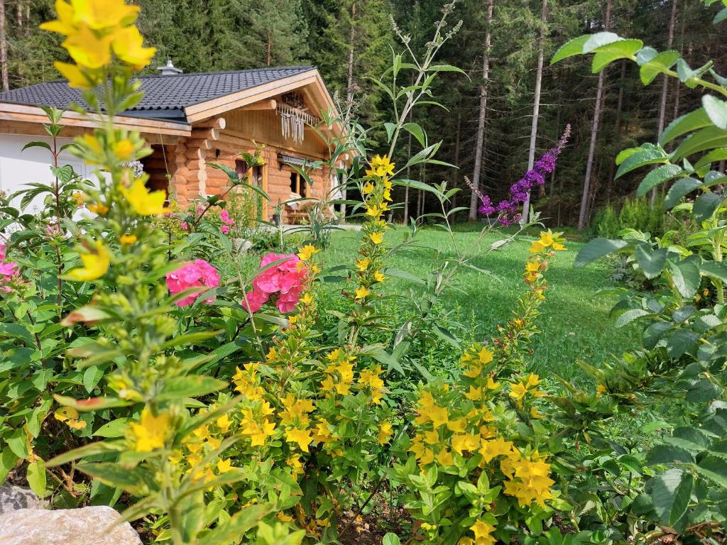 施坦察赫Ferienhaus - Chalet - Lechtraum的小屋前种有鲜花的花园